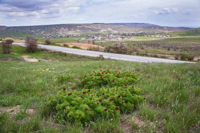 Прикрепленное изображение: IMG_4388.jpg